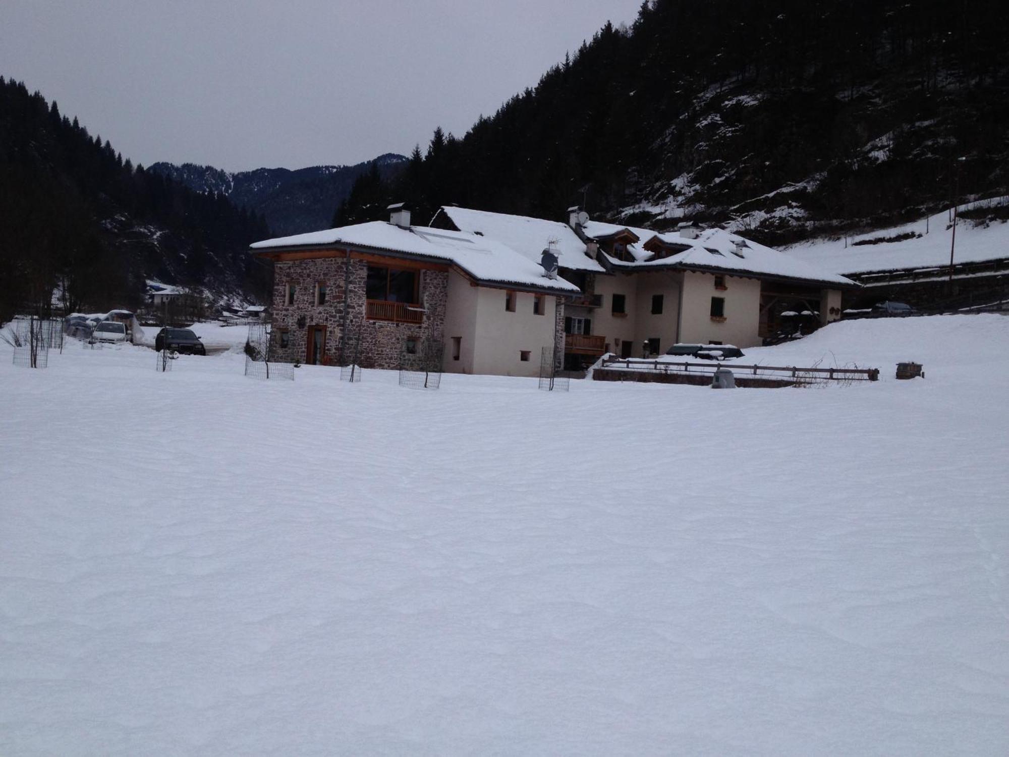 Maso Toneto Hotel Castello-Molina di Fiemme ภายนอก รูปภาพ